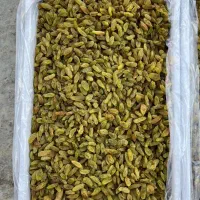 انواع کشمش عمده