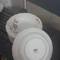 گل رز کمیاب واصل
