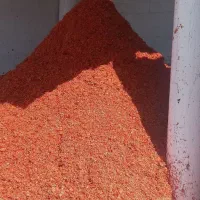 تفاله گوجه