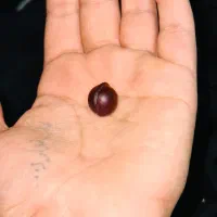 سنک قیمتی،کهربا