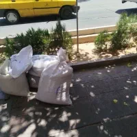 کشمش محلی بدون هسته