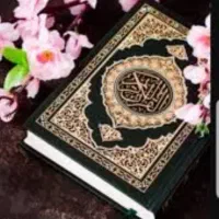 سرکتاب  تضمینی