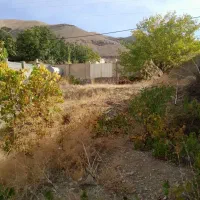 فروش زمین