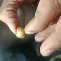 سنگه قدیمی