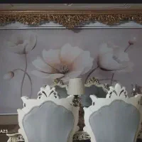 پرده زبرا دو مکانیزه