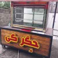 یخچال ویترینی کبابی باگاری و سایبان