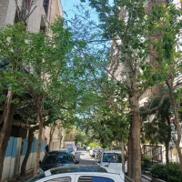 600متر-کلنگی-بر-17-پاسداران