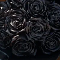 گل پروانه ای