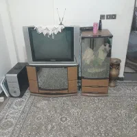 تلویزیون