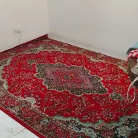 قالی 6متری