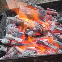 زغال کبابی
