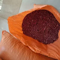 لوبیا قرمز درجه یک