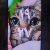 موبایل داریا مدل bond 5G