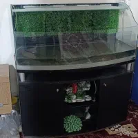 اکواریوم شیشه منحنی خارجی