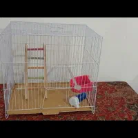 قفس پرنده