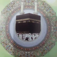 فروش دو عددفیش عمره با اولویت۵۱۹