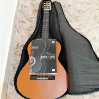 گیتار دایموند