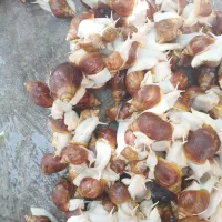 حلزون|خزنده|زنجان, |دیوار