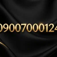 شماره طلایی و خاص