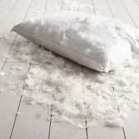 تولید و پخش انواع بالشت پر و لایکو و پرز و....
