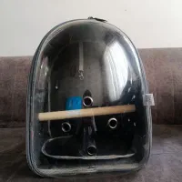 کوله ی پرنده و گربه و سنجاب و....