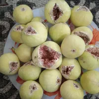 شاه انجیر کاملا ارگانیک