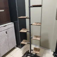 استند الن خور