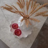 دیس گرد|ظروف سرو و پذیرایی|مشهد, هنرستان|دیوار