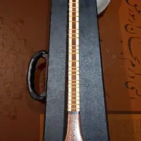 سه تارحسن پالیزدار
