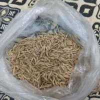 جو ۱۰ کیلو