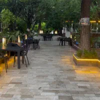 هاست ویتر سالنکار