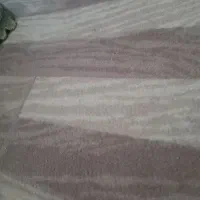 موکت تمیز درحد نو