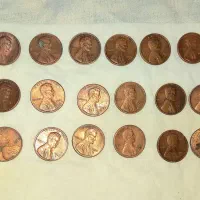 سگه خارجی دونه ای ۴۵هزاروچندچیزخاص