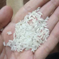 برنج