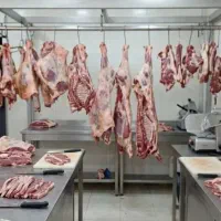 نیاز به سرمایه گذار و شریک