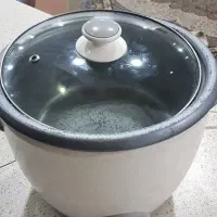 پلوپز برقی
