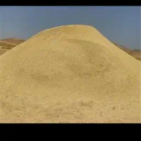 کاه گندم دیم