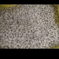لوبیا سفید،پاک شده