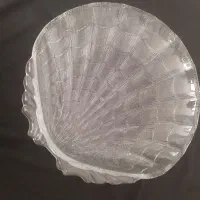 دیس پلو خوری و میوه خوری