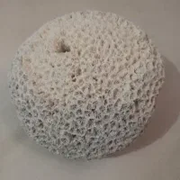اسفنج بزرگ