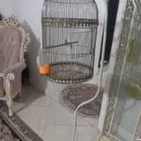 قفس فروشی