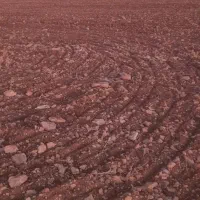 زمین کشاورزی