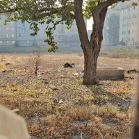 فروش زمین ۷۰۰۰ متری در شادآباد تهران