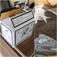 چای شکسته نیزه فله ۵ کیلوگرم