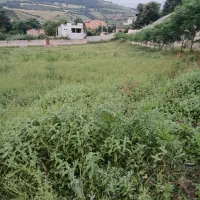 یک-قطعه-زمین-3000متری-فروشی