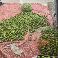 لیمو آبگیری و آبلیموی آماده