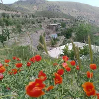 کارگر  آشنا به امورباغبانی