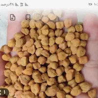 نخود قرمز درجه۱