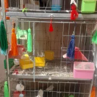 قفس حرفه ای استیل پرنده...