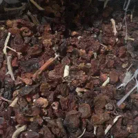 کشمش ابگیری